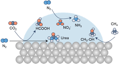 Biomembrane Interfaces