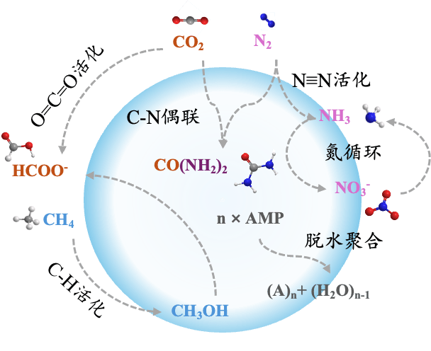 Microdroplet Reactors