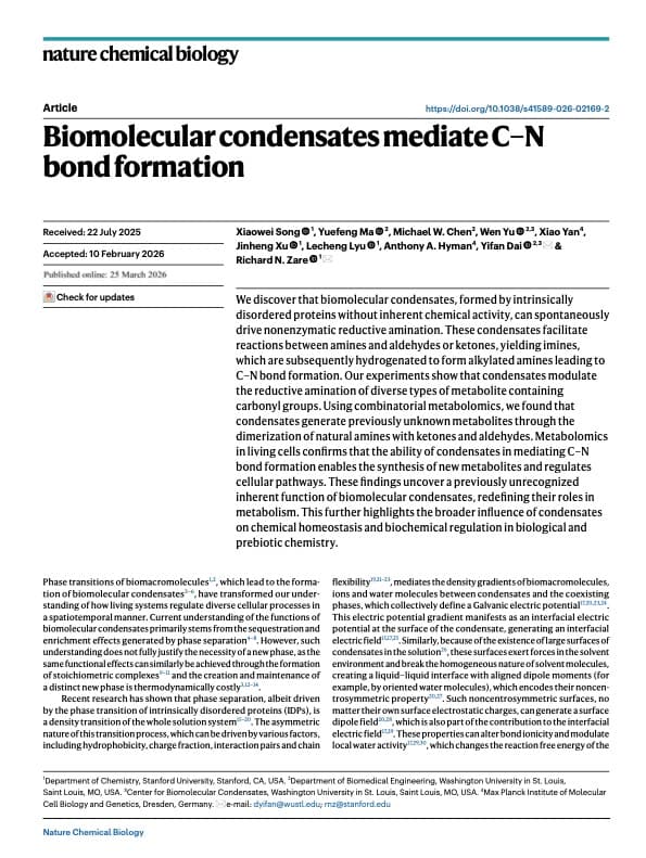 Biomolecular condensates mediate C-N bond formation