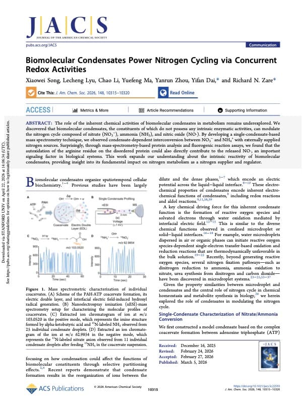 Biomolecular Condensates Power Nitrogen Cycling via Concurrent Redox Activities