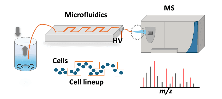 Single-Cell Multi-Omics